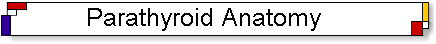 Anatomy of the Parathyroid glands and parathyroid anatomy during parathyroid disease.