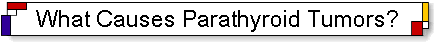 The Causes of Parathyroid Disease, Parathyroid Tumors, and Hyperparathyroidism.