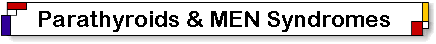MEN Syndrome: Parathyroid, Pancreas, Pituitary, Thyroid.