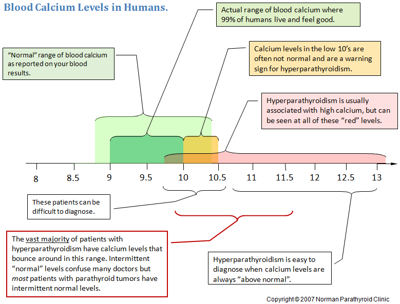 Normal and abnormal blood calcium levels. Calcium levels in almost all normal people are in the 9's. Parathyroid tumors increase blood calcium levels.