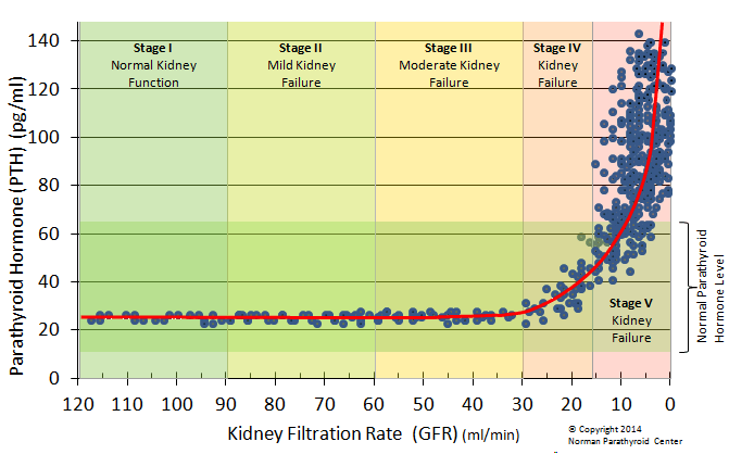 Parathyroid Hormone in Kidney Failure accourding to GFR.