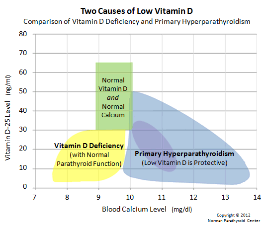 Low Vitamin D vs Calcium. Most patients with primary hyperparathyroidism have low vitamin D